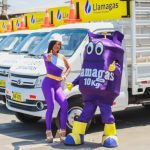 Centro de Distribución Llamagas